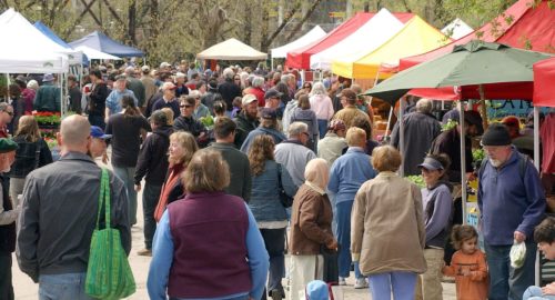 crowd of people at the capital city farmers market in montpelier, vermont