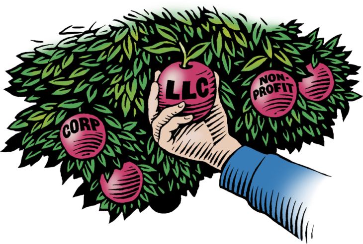 Woodcut style illustration of picking apples from a tree, labeled with various business structures: LLC, Non-Profit, Corporation.