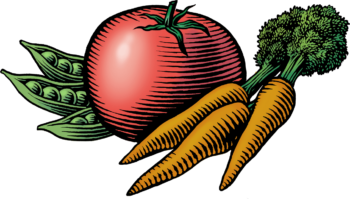 Woodcut illustration of tomato, peas, and carrots.